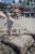 NZ6_8998.jpg
