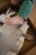 mjukka-small-4.jpg